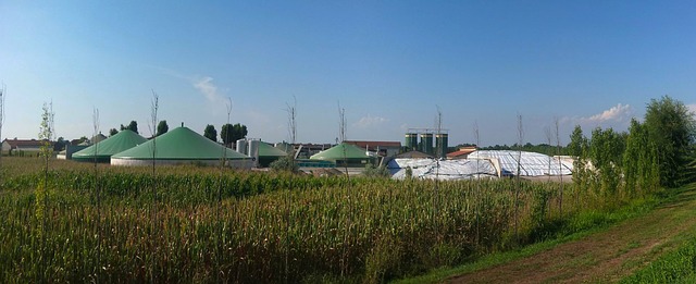Biogáz erőmű fogja hasznosítani a torontói állatkert "végtermékeit"