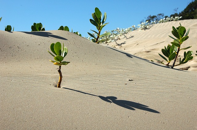 Tegnap volt az Elsivatagosodás és kiszáradás elleni küzdelem világnapja