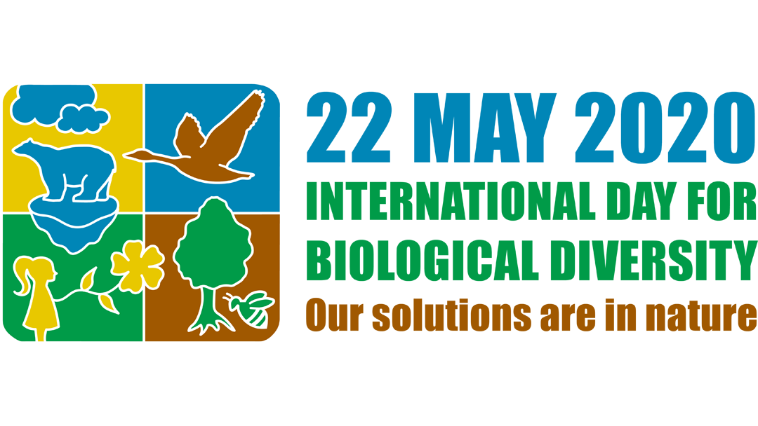 A biológiai sokféleség ünnepe – május 22.